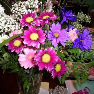 Meet your Posher, Ethel